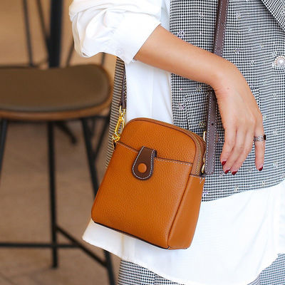 2024 Chic Real Leather Small Purses and Handbags for Women Summer Simplicity Collection